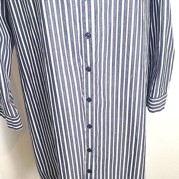 Time & Tru Buttondown Shift Dress, Blue & White Stripe, Size Large (12-14) - Picture 5 of 9